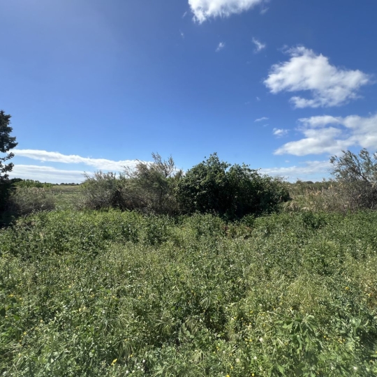  MM IMMOBILIER : Maison / Villa | MARSEILLAN (34340) | 76 m2 | 362 000 € 