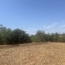  MM IMMOBILIER : Maison / Villa | MARSEILLAN (34340) | 76 m2 | 362 000 € 