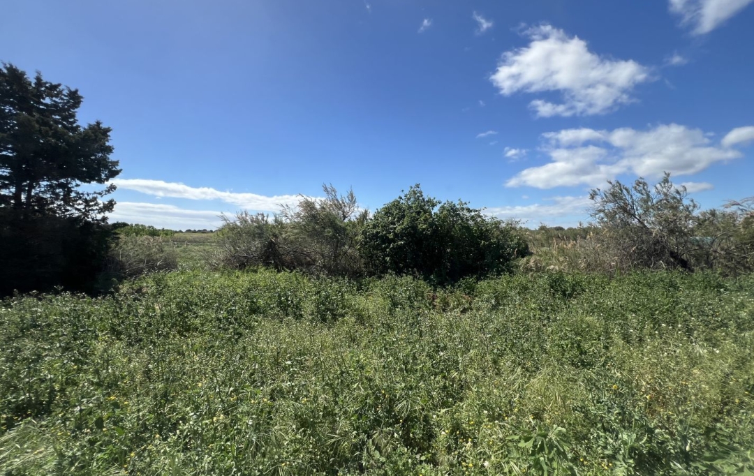 MM IMMOBILIER : Maison / Villa | MARSEILLAN (34340) | 76 m2 | 362 000 € 